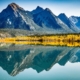 Reflection