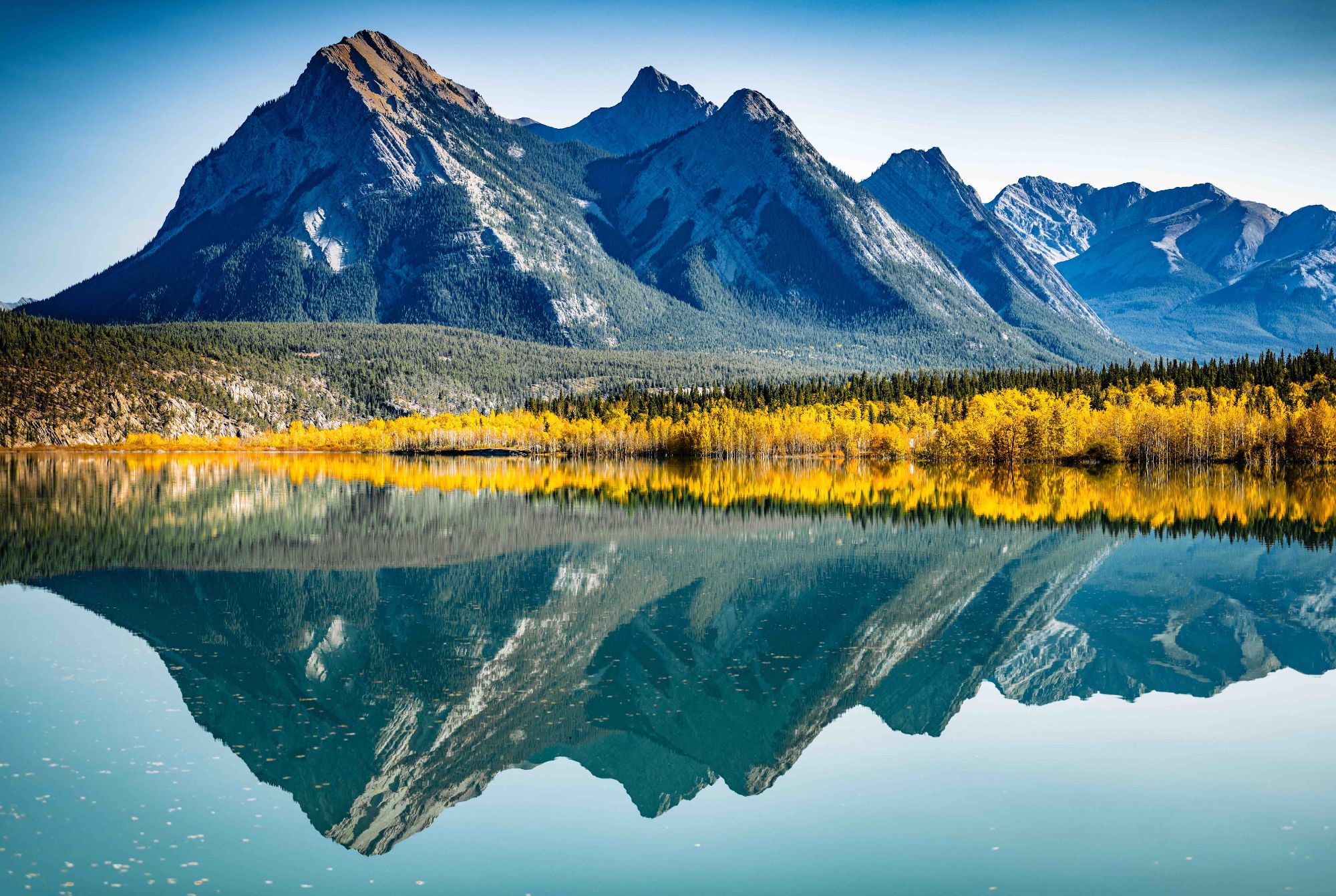 Reflection