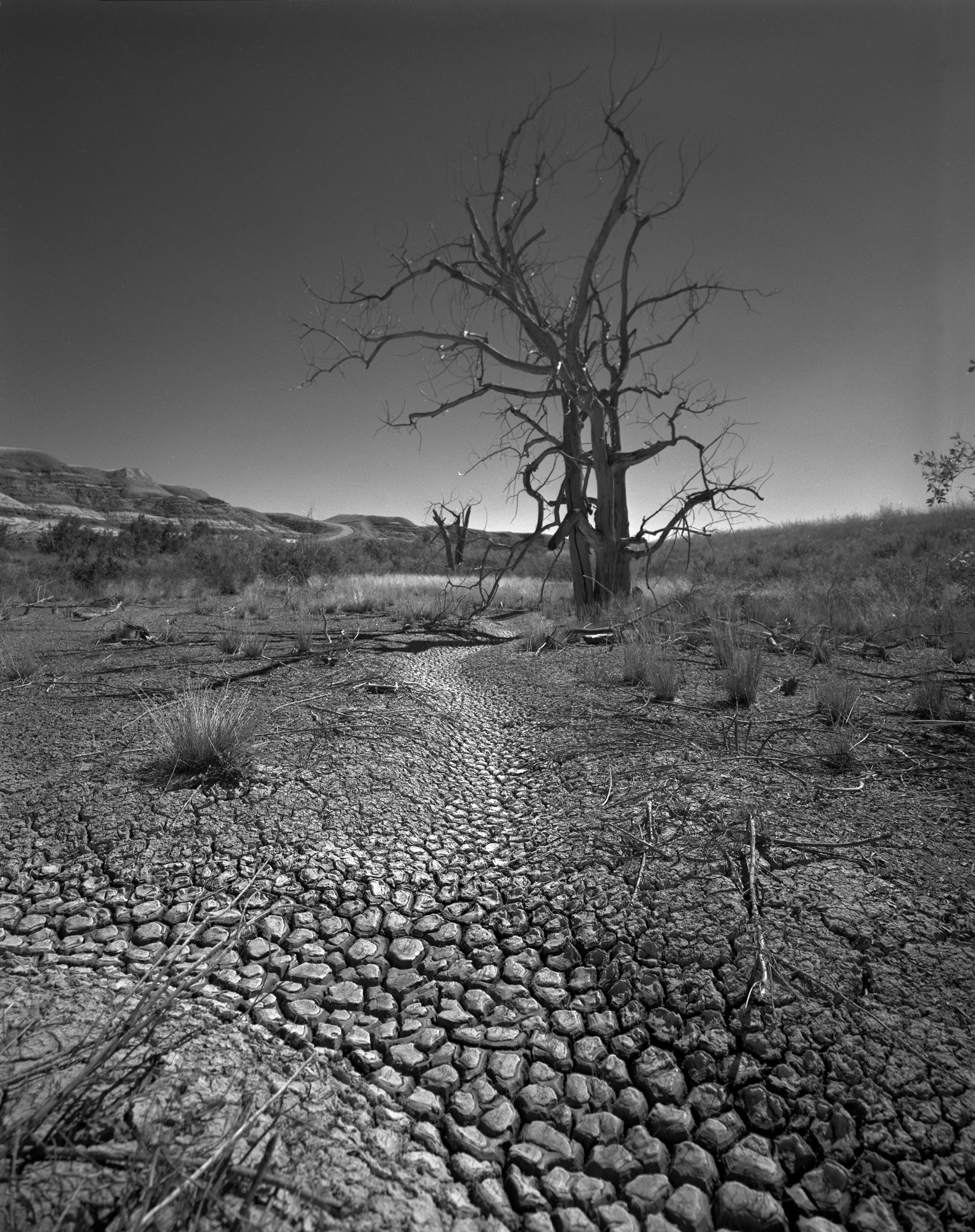 Drought