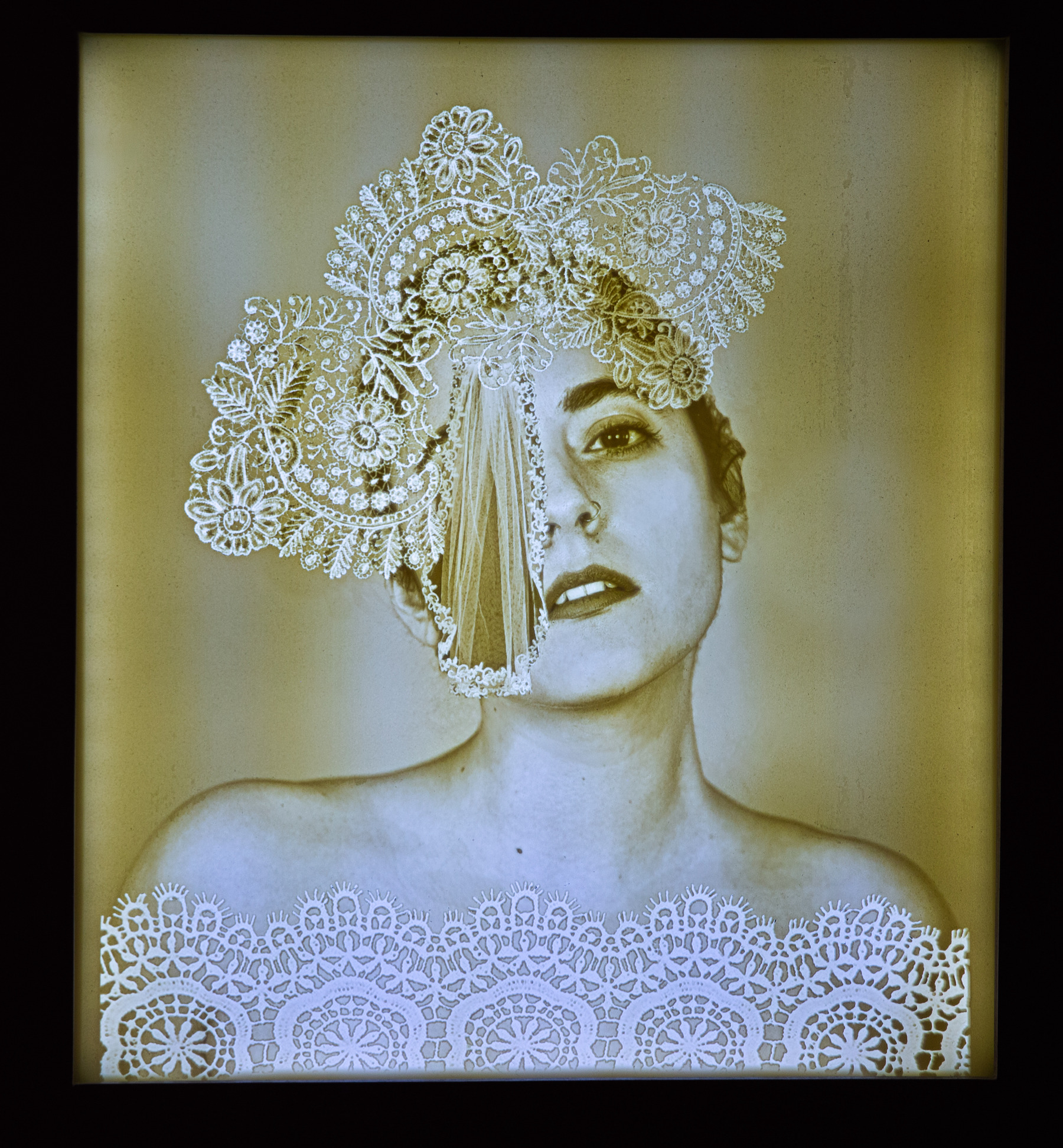 Illuminated Lace (White)